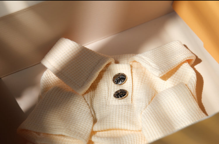 Yellow Dog Clothes